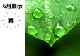早良図書館6月一般特集「雨」