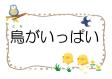 早良南図書館　児童展示「鳥がいっぱい」
