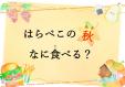 早良南図書館　児童展示「はらぺこの秋　なに食べる？」