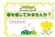 西図書館　一般展示２・３月『春を感じてみませんか？』