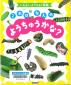 『これはなんのようちゅうかな？：いもむし・ようちゅう図鑑』