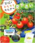 『学校でそだててかんさつ夏やさい（１）ミニトマトをつくろう！』